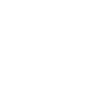 Pinterest Icon