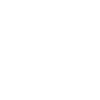 TikTok Icon