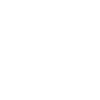 X Icon